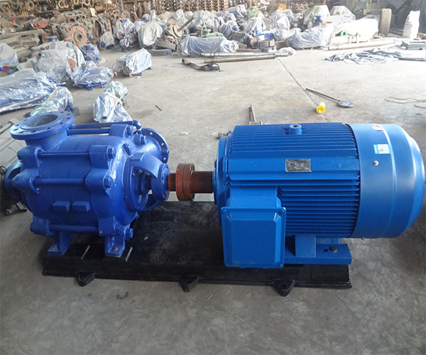 600  500 (3).jpg